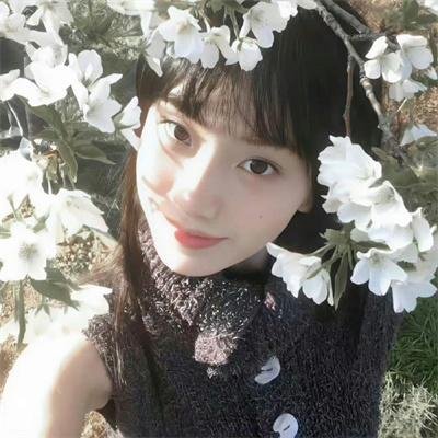 我的英雄学院第六季
